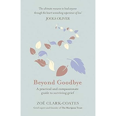 Beyond Goodbye: A practical and compassionate guide to surviving grief, with day-by-day resources to navigate a path through loss