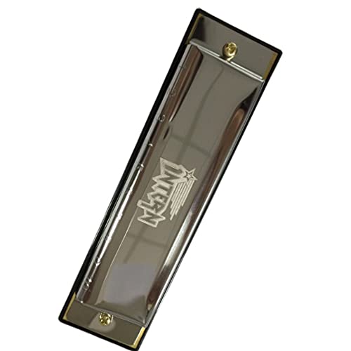 Image of Intern KEY C 10 Hole Diatonic Blues Mouth Organ Harmonica for Professional Player, with case and cleaning cloth (Silver) (INT-HA01C)