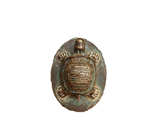 Bronze antique de collection avec ce vieux laiton de tortue rouillée au design d'exception