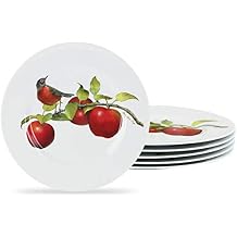 Calypso Basics Melamine Salad Plates Set of 6, 8.5 Inch, BPA-Free, Non-Toxic, Break-Resistant, Dishwasher Safe, Plates for Indoor & Outdoor Use, Harvest Apples by Reston Lloyd