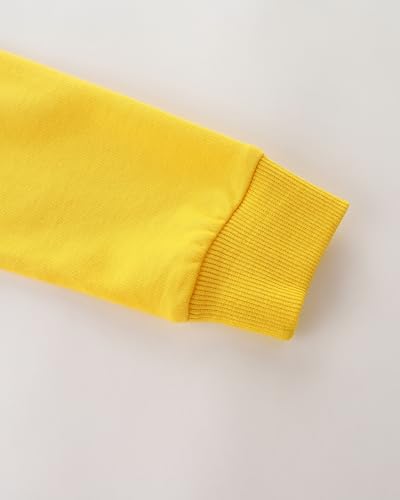 Image of AIWUHE Toddler Cotton Sweatshirt Boys Girls Pullover Long Sleeve Tops 2-6Y | Tops Blouse, Cotton T-Shirt, Fall Winter Clothes