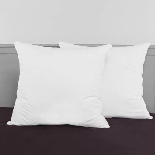 HOMEROKK Lot 2 Oreillers | Haute Qualité (60 X 60