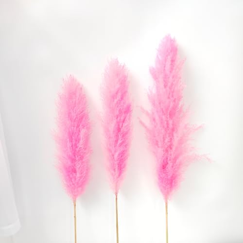 Pampas Grass Large flores secas decorativas 60cm pack 10 miniatura 3