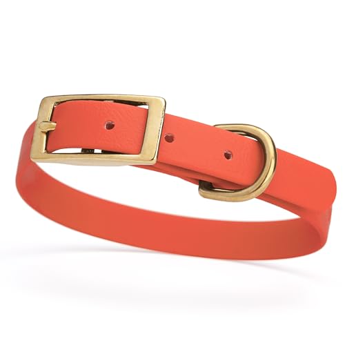 Image of Viper Biothane Heavy Duty Waterproof Dog Collar Strong Coated Nylon Webbing w /Solid Brass Hardware Odor-Proof Easy to Clean High Performance Fits Small Medium or Large Dogs, Coral