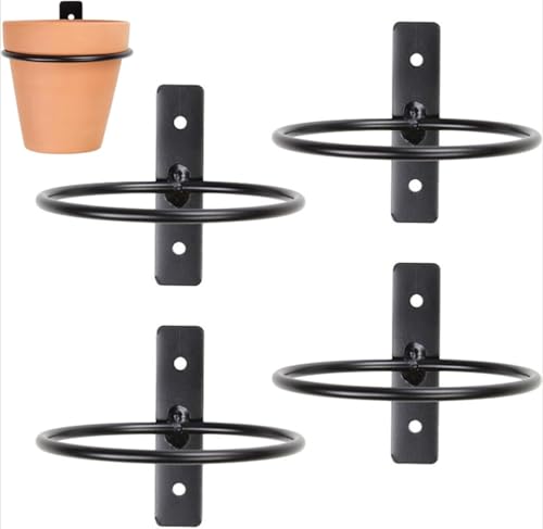 Daaxing Lot de 4 supports de pot de plantes murales de 10/13/15/20 cm, anneaux de support pour fleurs en métal pour la maison, le jardin, le balcon, la cour...