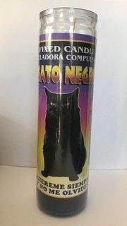 Gato Negro