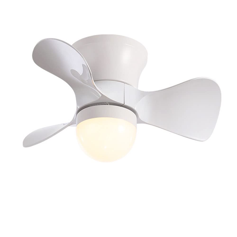 Ventilateur de plafond avec lampe LED 23" à 6 vitesses pour bureau et petit espace