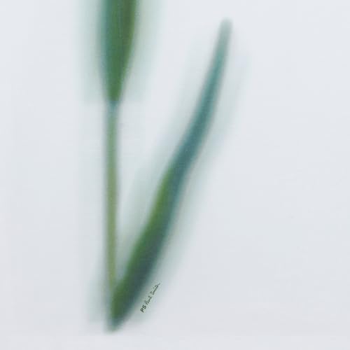 Paul Smith Men's Ps Women's Flower Stem T-Shirt2