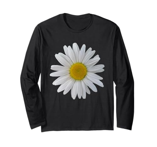 fleur de marguerite blanche, marguerite en fleurs, fleurs Manche Longue