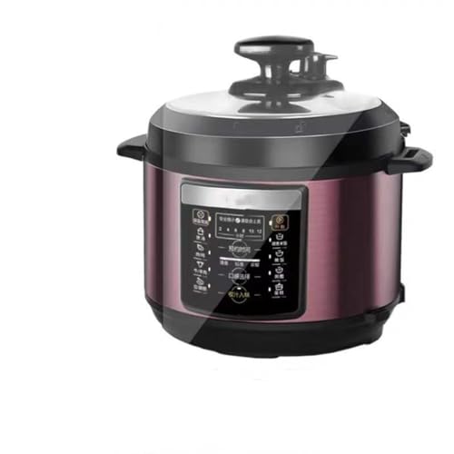 RajoNN Rice Cooker Household Multi-functional Intelligent Reservation Double Bile Large Capacity 5L