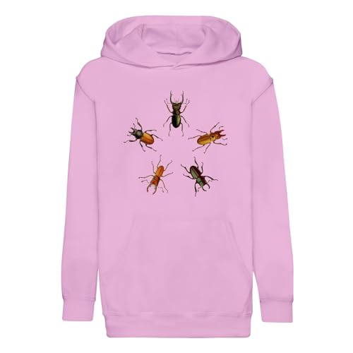 Sweat à capuche enfant scarabées pentagone vêtement insectes biologie illustration ancienne