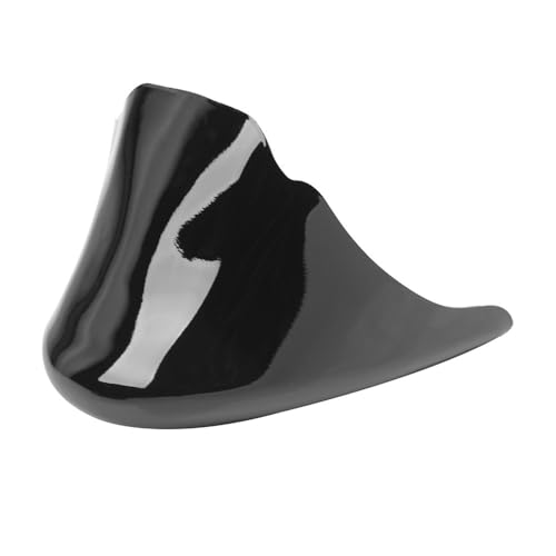 Ailettes spoiler de moto pour Iron 883 becquet inférieur carénage de menton Sportster 1200