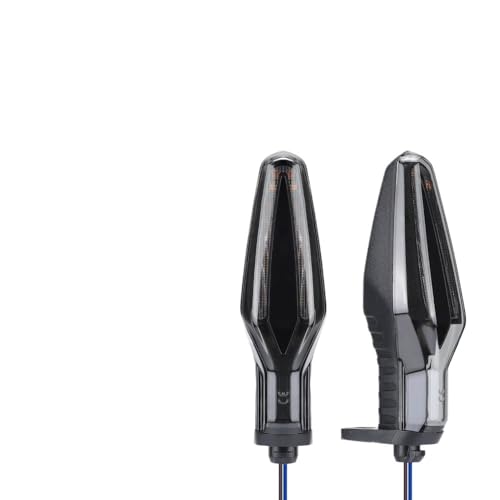 Feu de freinage arrière avec clignotants intégrés pour éliminer les pannes sur moto G310R