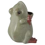 Pots pour plantes succulentes : conviennent aux plantes telles que les succulentes, les cactus et les violettes africaines, etc