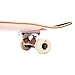 Retrospec Alameda Skateboard Complete | Canadian Maple Wood Deck w/ 5.5 Inch Aluminum Alloy Trucks for Commuting, Cruising, Carving & Downhill Riding | 31” x 7.5”, Modern Terracota