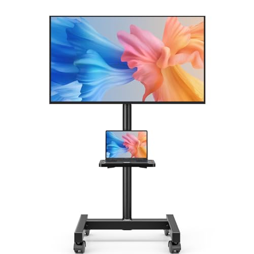 AX WABER Mobile TV Floor Stand for 13-50 inch LCD LED Flat/Curved Panel Screen TVs up to 77 lbs,...