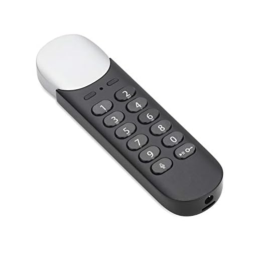 LEPIN Digital Voice Recorder Hardware Encrypted USB Flash Drive Password Protected U Disk Voice Recorder for Lectures, Meetings, Interviews, Class (32G)