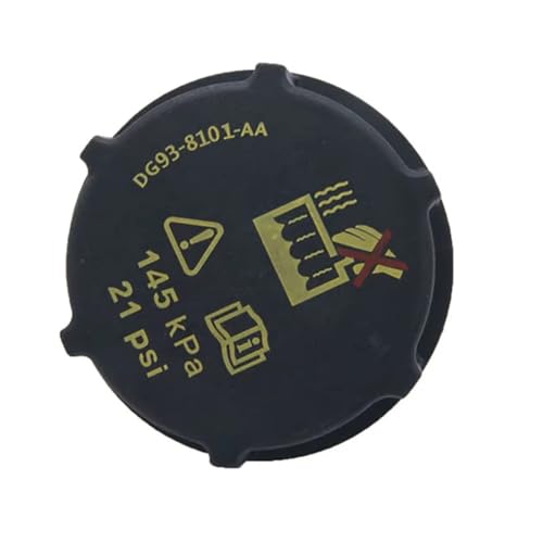 Réservoir de liquide de refroidissement DG938101AA anti-surchauffe pour radiateur Transit