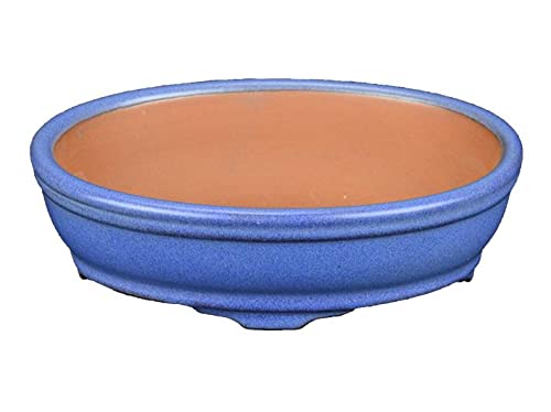 Maceta bonsai ovalada de gres esmaltado azul 13,5x10x3,5 cm - ZX15