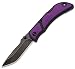 Outdoor Edge Chasm Folding Pocket Knife 2.5 Inch, CHP-25, Purple Handle with Pocket Clip