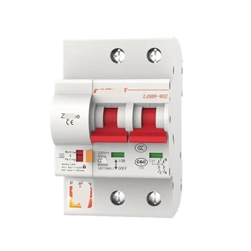 Disjoncteur 2P 10A interrupteur automatique évite la surcharge électrique