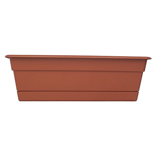 Bloem Window Box TARACOT 24