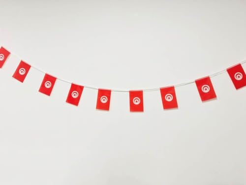 Tunisia Flag 40pcs Tunisia Flag Tunisia Garland 11.4M Tunisia Bunting National Flag European Flags 14x21cm for Bar Decorations - Image 2