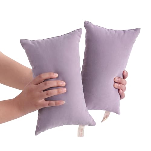 BEDSUM Plush Mini Pillows, 11 x 7, Microfiber, 2 Pack, Lavender