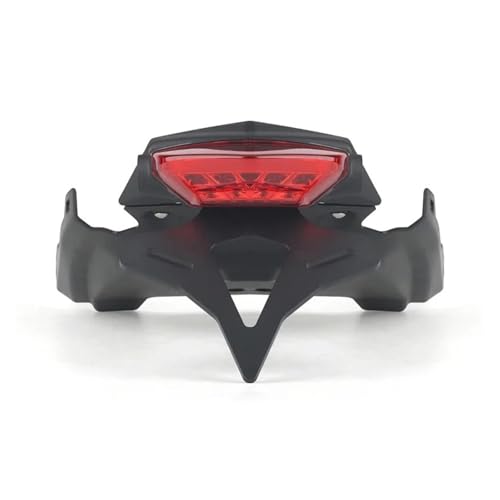 Support de Plaque d'immatriculation Moto Arrière BMW F900R F900XR Accessoire Rouge 20-25