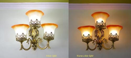 Image of WHITERAY Black Antique Designer Imported Wall Light Wall lamp for Bedroom, Living Room,Kitchen, Bars, malls, Besides The Bed, Balcony Home Decoration (1113 (Tripple) Without Bulb)