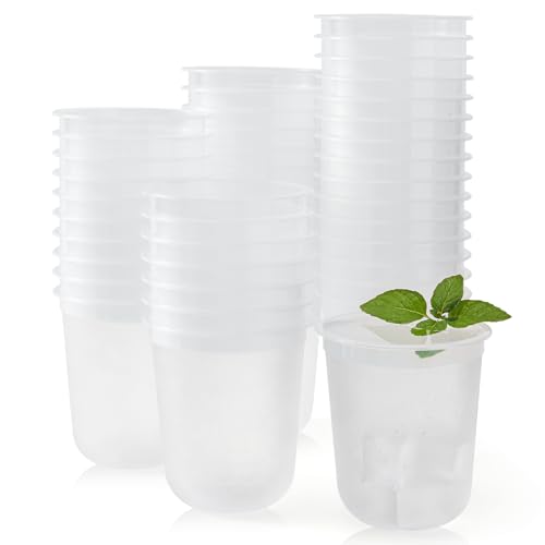 Yicentdp 50 Pack Frosted Plastic Cups Clear Disposable Cocktail Glasses for Graduation Wedding Holiday Birthday Party (12 Oz)