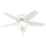Hunter Newsome Indoor Low Profile Ceiling Fan with LED Light and Pull Chain Control, 42', Fresh White