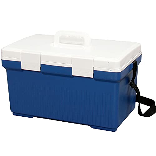 Ice Japan Ice Freezer Ice 500g