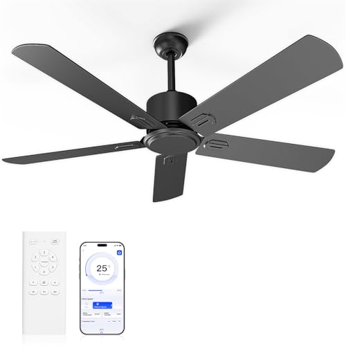 Obabala 52 Inch Ceiling Fan No Light, Outdoor Indoor Flush Mount Low Profile DC Motor Fan with Remote and APP, 5 Blades Reversible Silent Fan for Patio, Bedroom, Living Room, Garage, Black