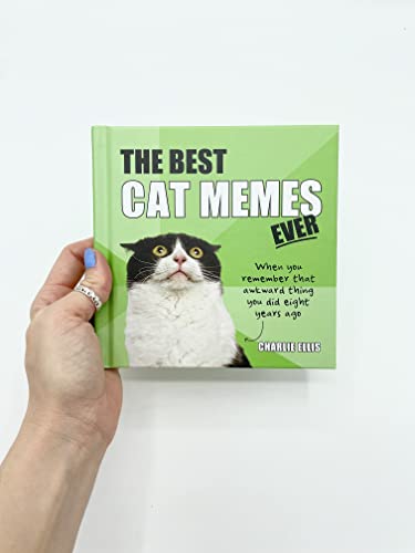 The Best Cat Memes Ever - Image 2