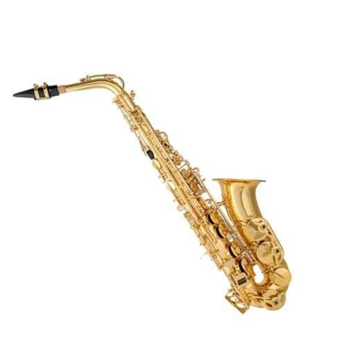 TbNX S[f TbNX E tbg Ag TbNX X[p[ty}EXs[X P[Xt (Color : Golden)