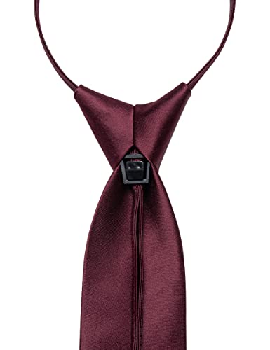 Image of YourTies Zipper Tie for Men Adjustable Pre-tied Satin Neckties and Pocket Square Set Solid Color Business Formal Wedding