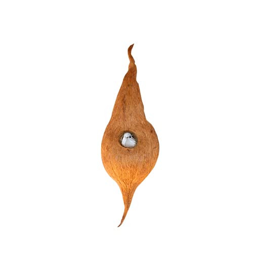 Coconut Coir Fiber Organic Bird Nest Medium Size/Hand Made Pure Natural Coir Bird Hanging Nest Cage House for Indoor & Out Door (B0BKL8VRSW) Amazon Price History, Amazon Price Tracker