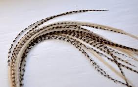 Feather Hair Extension – Grizzly and Beige Feathers, All Genuine Thin Long Feathers, Ranging From 8 to 13 Inches in Length, With a Total of 5 Feathers