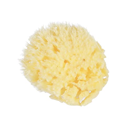 BELLIFFY VRnjJX|W oXV[X|W }bT[W p Ɨp sp xr[oXX|WƂĎgp ϋv̂f