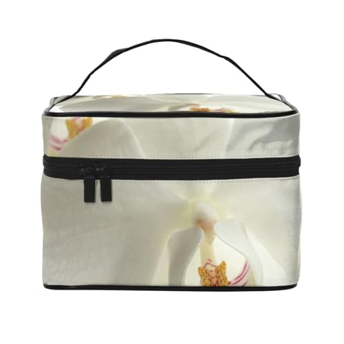 ԕ   GKg _ gfB σ|[`  RX|[` gx|[` RX[  ʗp o @\I y Aj v[g