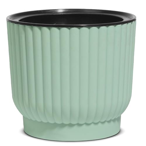 T4U 15cm Self Watering Plant Pots Indoor, 6 Pack Indoor Plant Pot, Green Plastic Flower Pots, House Plant Pots for Indoor Outdoor Plants, Succulent, Cactus, African Violets, Spider Plants - Cosy Home Interiors T4U 15cm Self Watering Plant Pots Indoor, 6 Pack Indoor Plant Pot, Green Plastic Flower Pots, House Plant Pots for Indoor Outdoor Plants, Succulent, Cactus, African Violets, Spider Plants - Image 4