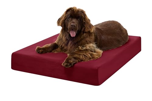 Image of Barker Beds XL Orthopedic Dog Bed - 7 inch Memory Foam Mattress - 75-120 lbs - Joint Pain & Arthritis Support - Vet Recommended, Washable Cover - Made in USA - 52 inchx36 inchx7 inch - Burgundy