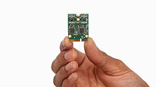 Coral by Google Coral by Google Google Coral M.2 Acceleratore con TPU Dual Edge