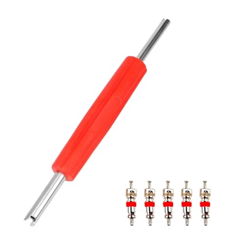 Aidqxbaoer Extractores de núcleo de válvula de Doble Cabeza,5núcleos de válvula, Herramientas de reparación de válvulas, Extractor de válvulas,para Coche, Motocicleta