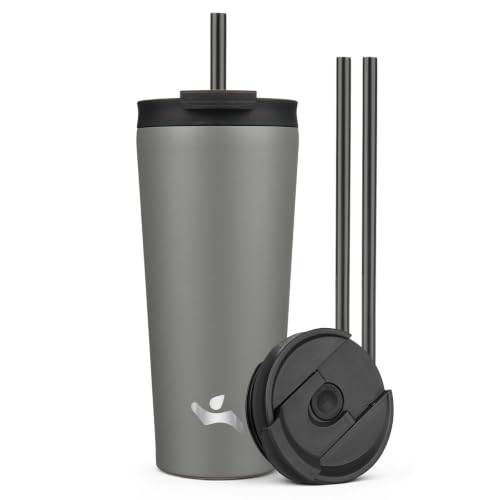 Image of Konokyo 22 oz Insulated Tumbler Water Bottle with Straw Lid, Gray