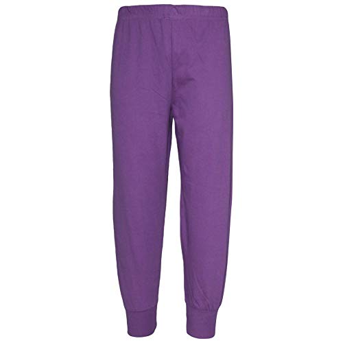 PJS Unicorn 152 Lilac le cadeau d'anniversaire idéal pour fille