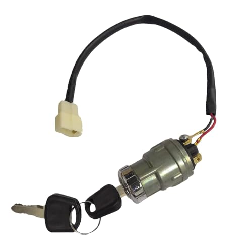 JOEEGO Ignition Starter Switch Assembly Fits for Evolution Golf Carts,