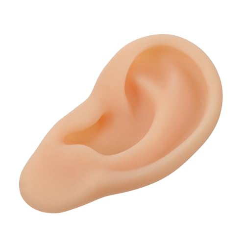 Gogogmee Distinguish Left Right Reusable Silicone Ear Model for Teaching and Practice