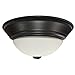 LED Kitchen Ceiling Lights Fixture, Flush Mount, Echo Bay Collection, Bronze, 13" Size, 17W Wattage, 3000K Color Tempurature